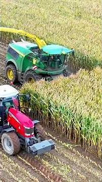 Harvesting MAIZE with a JOHN DEERE FORAGE HARVESTER