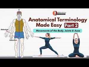 Anatomical Terminology Part 2: Movements & Axes Explained with Live Demonstrations