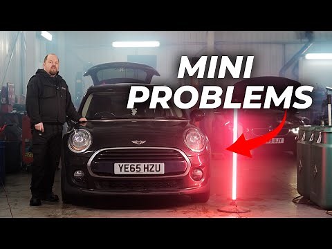 MINI COMMON PROBLEMS!