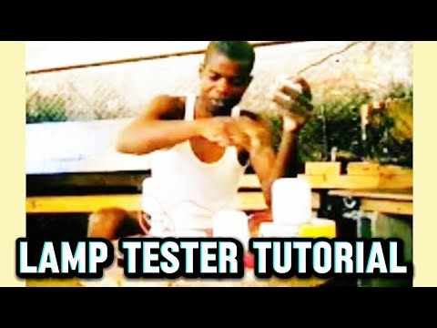 How to Use an Electrical Lamp Tester | Step-by-Step Tutorial for Beginners