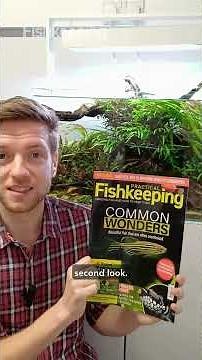 Practical Fishkeeping November 2025 on sale now!