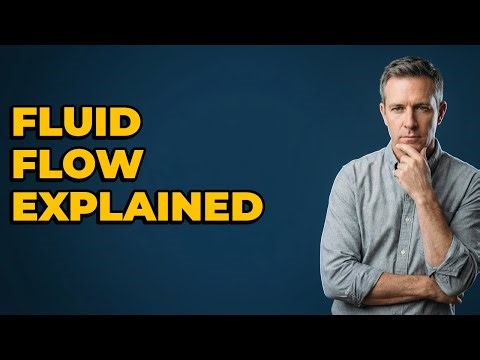 What Are The Euler Equations In Fluid Dynamics?