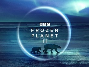 Frozen Planet II | BBC Earth