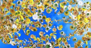 Spring Background 01 HD