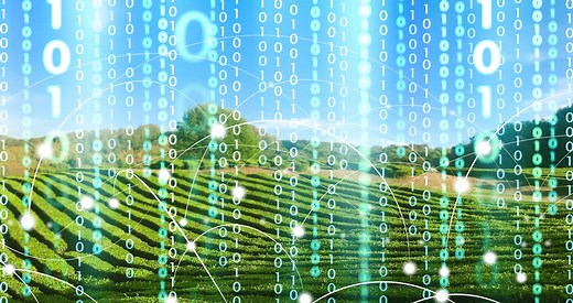 Blockchain for Food: 10 Examples to Know | Built In