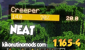 Neat Mod | 1.21, 1.20.1. 1.19.2, 1.16.5...
