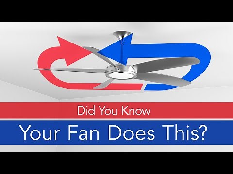 How to Change the Ceiling Fan's Direction | Aire Serv