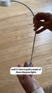 Don’t beat yourself up about your sad plants right now! We ALL have...