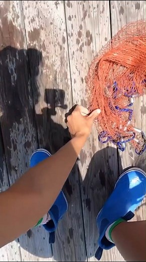 👋Tired of bulky, hard-to-use cast nets? Use this PLUSINNO Cast Net with Aluminum Frisbee to catch fish easier than before!! Made for every type of angler.🎣 Check out how Erin @finsandfossils did it like a pro!🏆 Shop here: bit.ly/40pOKiD . . . #fishingfun #castnet #plusinno #anglerlife #fisherman #netcasting #catchingfish #catchingbait #fishing #fishinglife #fishingtime #fyp | PLUSINNO