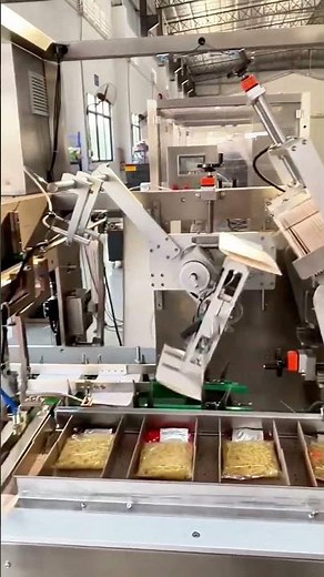 Pasta Cartoning Machine for Spaghetti & Noodles | Automate 60 Boxes/Min with Zero Breakage