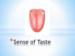 Sense of Taste - SlideServe