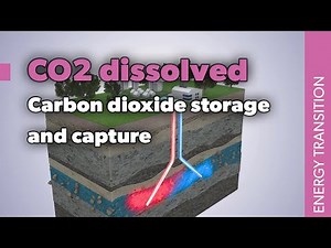 CO2 Dissolved: carbon dioxide storage and capture