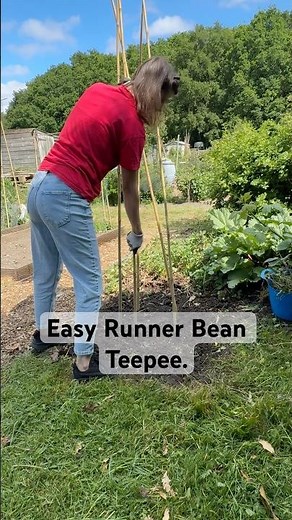 Simple Bamboo Frame for Runner Beans | Easy DIY #shorts
