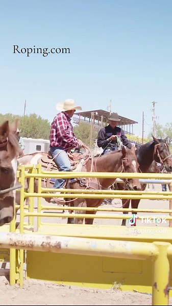 Derrick Begay’s quick tip for relaxing in the heading box ➡️ Catch more of these quick tips in Roping.com’s 𝙏𝙧𝙖𝙞𝙣𝙞𝙣𝙜 𝙎𝙚𝙨𝙨𝙞𝙤𝙣𝙨 𝙬𝙞𝙩𝙝 𝙏𝙚𝙖𝙢 𝙍𝙤𝙥𝙚𝙧𝙨 𝙃𝙚𝙖𝙙𝙞𝙣𝙜 𝙩𝙤 𝙑𝙚𝙜𝙖𝙨 2025 playlist 🔗 link in bio.