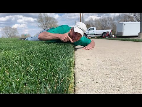 How to Properly Edge Your Lawn