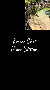 Keeper Chat: Mars Edition | Tanganyika Wildlife Park