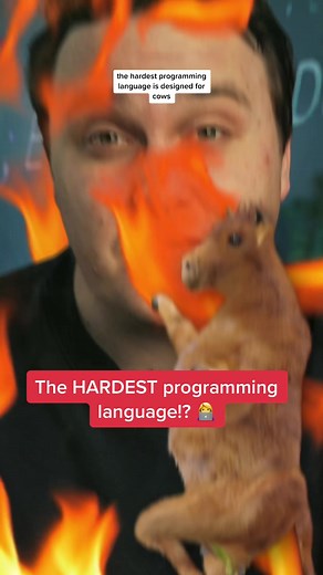 Unveiling the COW Programming Language: Moo, Tech, and More!