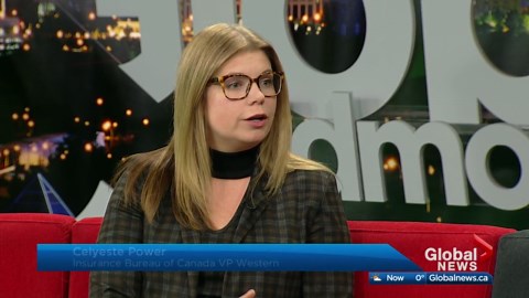 Insurance rates on the rise in Alberta