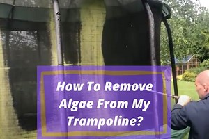 How Do You Get Rid Of Algae, Moss or Mold On A Trampoline? - Go Forth Kids