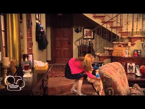 Dog With a Blog - Fast and the Furriest - Toilet Training