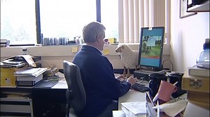 Selective breeding, cloning and GM