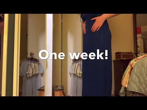 Pregnant belly progression