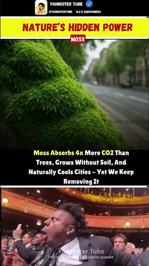 🌿 The Tiny Plant Outsmarting Trees — Nature’s Most Underrated Powerhouse 🌎