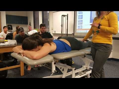 Multifidus Muscle Palpation