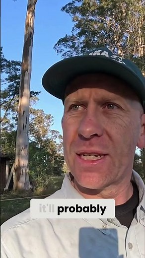 Building a Swale to Divert Water Runoff #watermanagement #modernhomesteading #swale