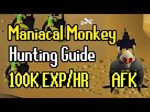 Maniacal Monkey Hunting Guide | AFK Hunter Method | 100K+ Exp/Hr