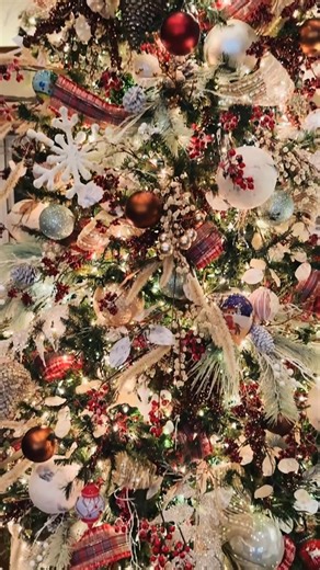 1.7K views · 19 reactions | Christmas is a party too— so of course...