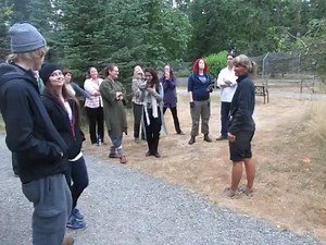 This week's animal care anecdote: Last week-end, we hosted this summer's first Midsummer's Night at Wolf Haven. At the conclusion of the enrichment visit, our Director of Animal Care initiated a group howl with our guests. The wolves joined in immediately; the look on everyone's face is priceless! | Wolf Haven International