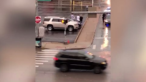 Cringe-Worthy Driver Fails You Won’t Believe: Watch the Most Epic Failures on the Road