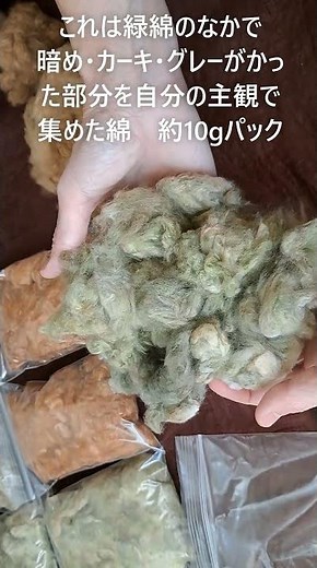 天然の緑や茶の綿で糸を紡いでみませんか…糸紡ぎ用の綿繊維を値下げ販売中/わたいとやSTORES店 #和綿, #緑綿, #茶綿
