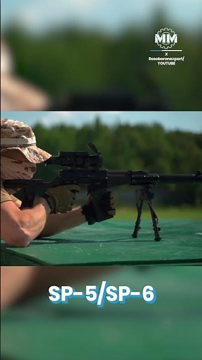 VSS Special Sniper Rifle: Silent Shot for Special Forces