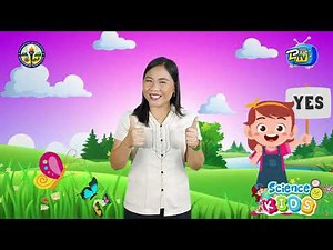 SCIENCE GRADE 4 Q4 WEEK 4 WEATHER INSTRUMENTS