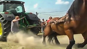 1.2M views · 9.5K reactions | Top 10 Strong Horses Subscribe► https://www.youtube.com/c/LookAnimal | Look Animal | Facebook