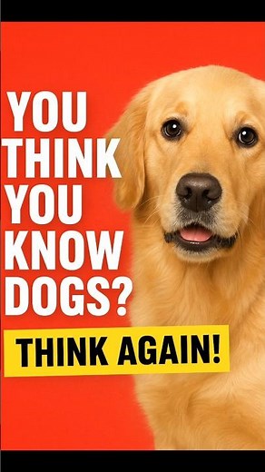 Surprising Facts About Dogs: Amazing Insights