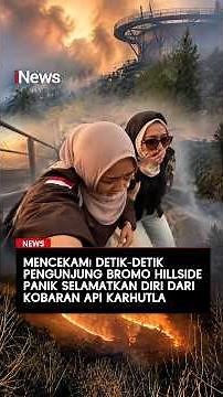 Mencekam! Detik-Detik Pengunjung Bromo Hillside Panik Selamatkan Diri dari Kobaran Api Karhutla