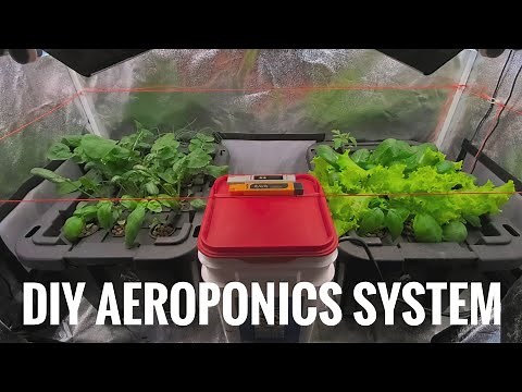 DIY Aeroponics Hydroponics System