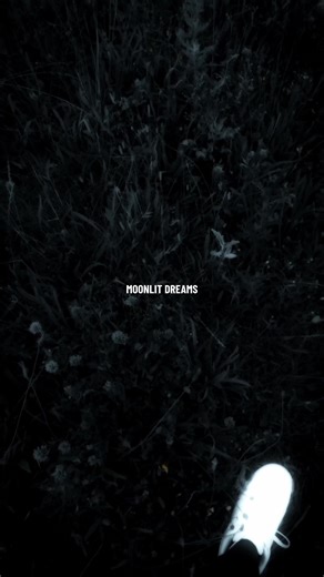 “MOONLIT DREAMS.” 📸 : @￶ ￶ ￶ ￶ ￶