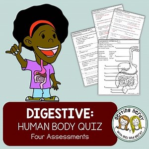 Digestive System | Human Body | Organ Structure & Function Quizzes/Assessments