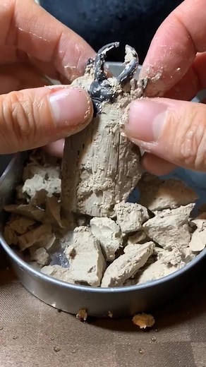 セリアの甲虫発掘キットの楽しさ