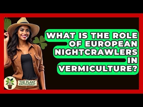 What Is The Role Of European Nightcrawlers In Vermiculture? - The Plant Enthusiast