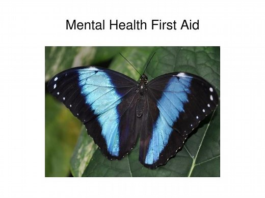 PPT - Mental Health First Aid PowerPoint Presentation, free download - ID:4273906