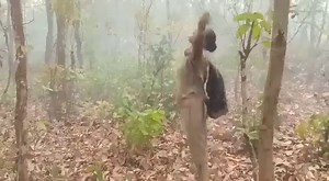 37K views · 795 reactions | India's gross domestic product (GDP)...