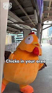 PUBG MOBILE | Chicko in your area