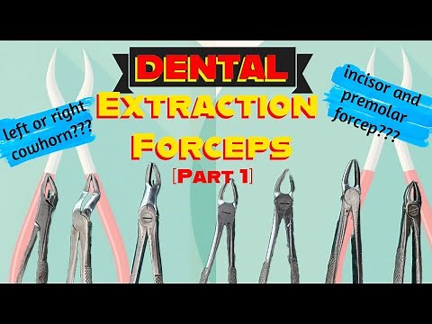 Maxillary Extraction Forceps| Instruments Identification for Oral Surgery Practical Exam| Part 1