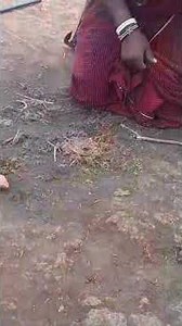 Maasai magic: Lighting fire with friction!