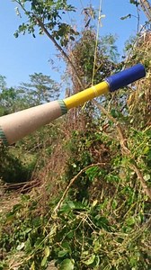 Crying cow Loaded #reelsviralシ #reelschallenge @highlight | Legtv Pyro